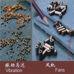 廠家直銷(xiāo)粉末冶金制品含油軸承傳動(dòng)齒輪供應(yīng)商 廣東信宜市星源粉末冶金廠 原中山信興粉末冶金制品廠