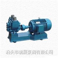 YHCB系列圓弧齒輪油泵生產廠/油罐車裝載泵 50YHCB-15 汽車只有圓弧齒輪油泵銷售價格/河北泊頭Y