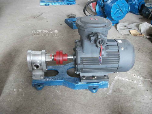 紅旗高溫泵廠專業(yè)設計生產(chǎn) 2cy 12 2.5齒輪油泵圖片