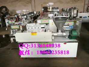 【包教技術(shù)新型牛排機價格廠家直銷豆皮機工藝簡單】- 